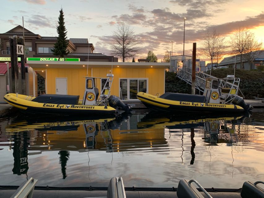 Campbell River: Discovery Passage Wildlife Zodiac Boat Tour - Additional Details