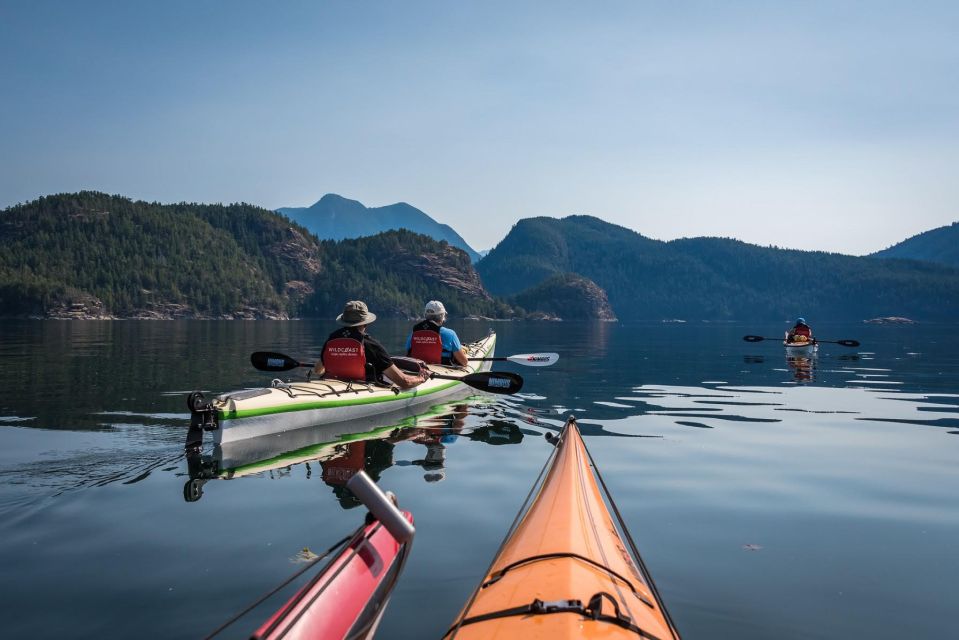 Campbell River: Kayaking and Whale Watching Tour - Cancellation Policy