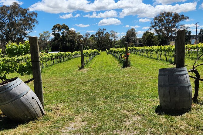 Canberra Wineries Full Day, Electric Vehicle Tour /W Lunch - Expert Tour Guide