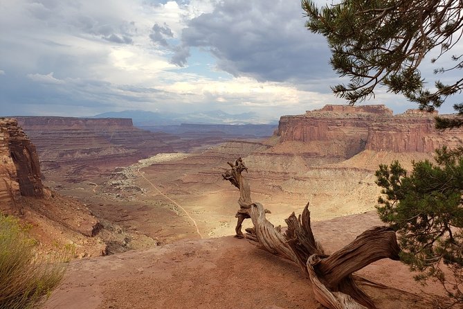 Canyonlands National Park Backcountry 4x4 Adventure From Moab - Cancellation Policy Details