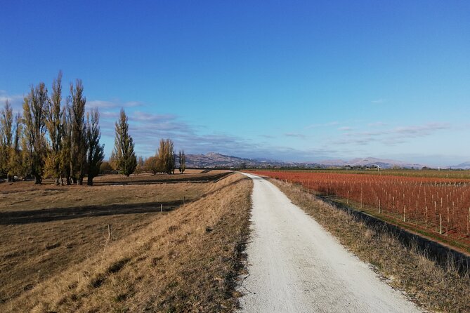 Cape Coast Wineries Self-Guided Scenic Bike Tour From Napier - Competitive Pricing