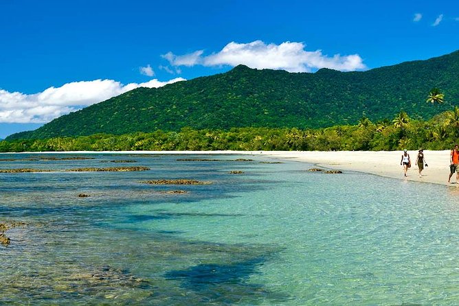 Cape Tribulation, Mossman Gorge and Daintree Rainforest Day Tour - Overall Experience