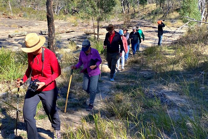 Carnarvon Range Day Tour With an Ecologist Guide  - Queensland - Spectacular Rock Formations