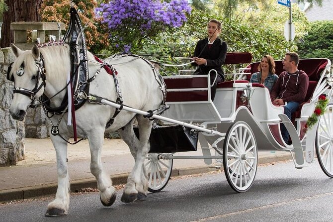 Carriage Ride in Central Park (VIP - PRIVATE) Since 1964 - Customer Feedback and Highlights