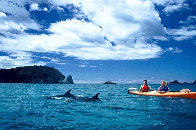 Cathedral Cove Kayak Tour - Additional Tips for the Tour