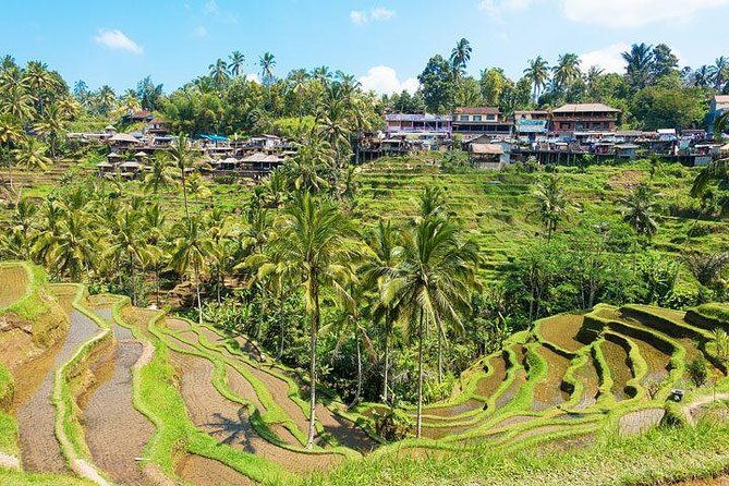Central Bali Tour: Ubud Village, Kintamani Volcano, and Waterfall - Pricing Details and Options