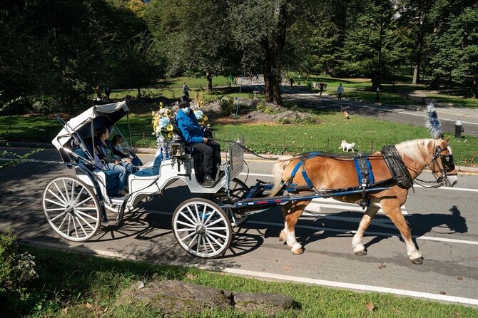 Central Park and NYC Horse Carriage Ride OFFICIAL ( ELITE Private) Since 1970 - Overall Customer Satisfaction and Sum Up