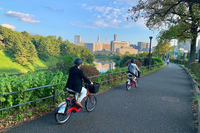 Central Tokyo Half-Day Small-Group E-Bike Guided Tour - Reviews, Pricing, and Booking