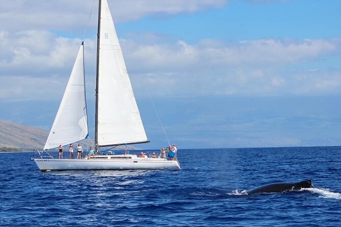 Champagne Sunset Sail From Lahaina Harbor - Book Your Unforgettable Sunset Sail Today!