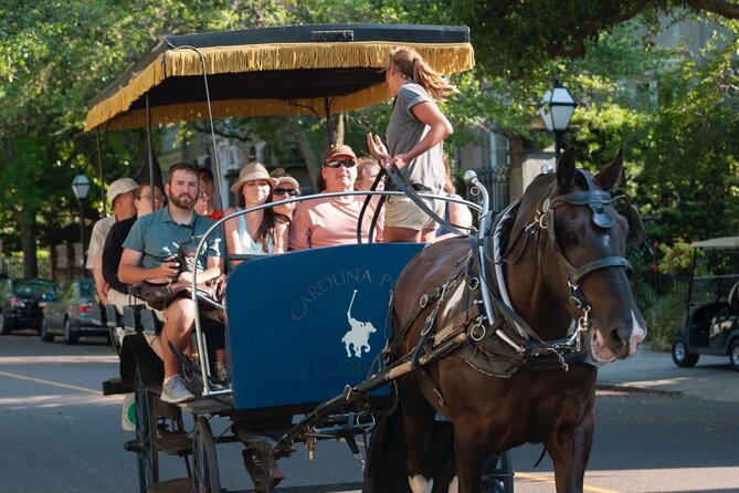 Charleston Horse & Carriage Historic Sightseeing Tour - Common questions