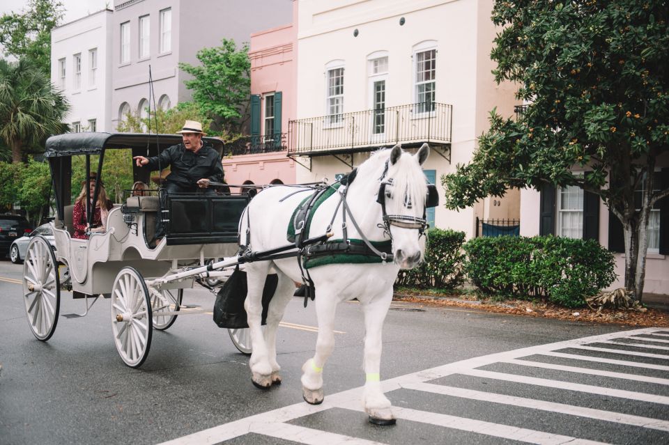 Charleston: Private Carriage Ride - Travel Tips
