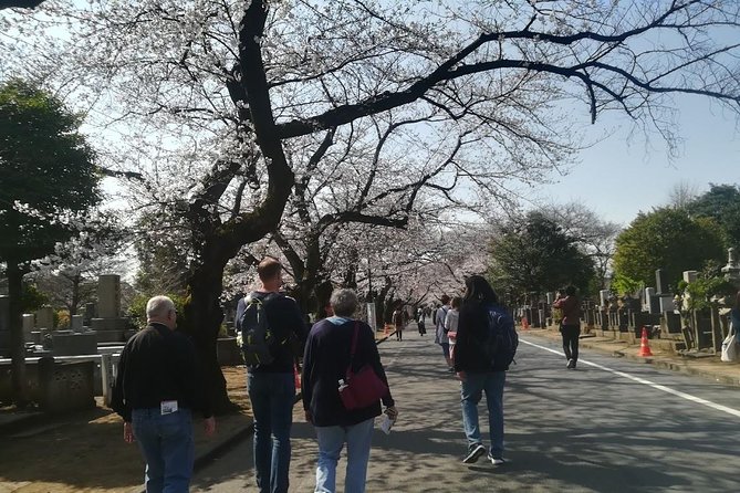 Cherry Blossom Highlights, Asakusa, Ueno, Yanaka - Common questions
