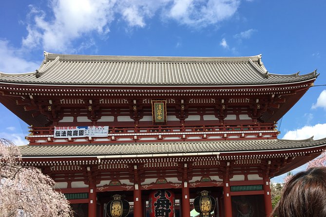 Cherry Blossom Tour in Tokyo - Cherry Blossom Locations
