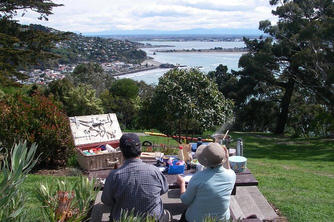 Christchurch Coastal Hiking Tour - Sum Up