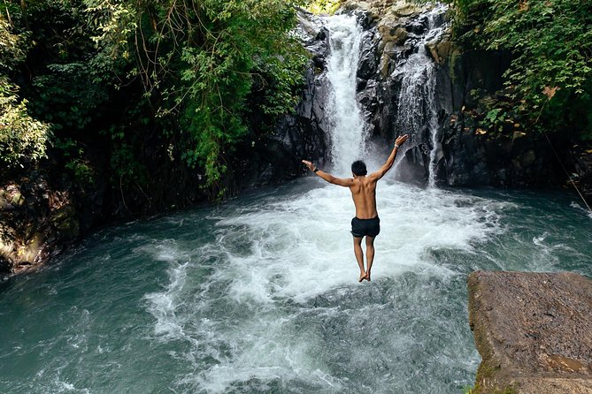 City Escape: Bali Waterfalls Private Day Trip - Common questions