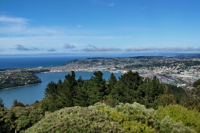 City Highlights, Larnach Castle & Peninsula Views - Tour Guides Insights