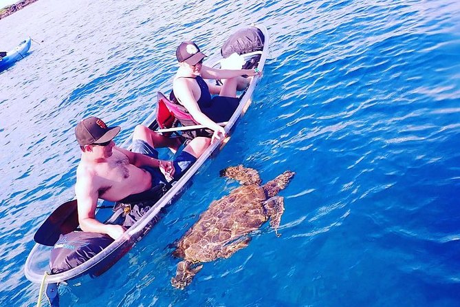 Clear Kayak and Snorkel Tour at Turtle Town, Makena - Overall Experience and Traveler Photos