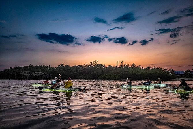 Clear Kayak LED Night Glass Bottom Tour - Sarasota - Pricing and Legal Information