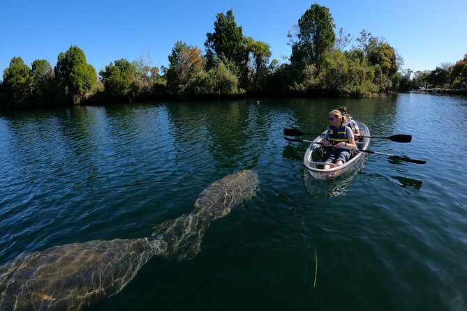 Clear Kayak Manatee Ecotour of Crystal River - Cancellation Policy
