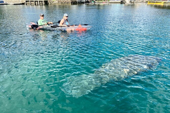 Clear Kayak Tour of Crystal River - Reviews