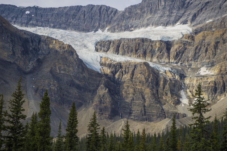 Columbia Icefield Adventure 1-Day Tour From Calgary or Banff - Key Points