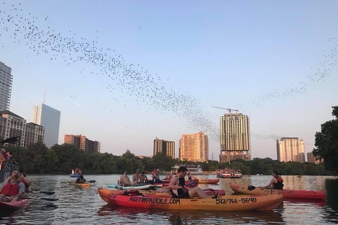 Congress Avenue Bat Bridge Kayak Tour in Austin - Booking Details