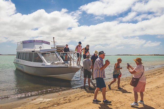 Coorong 3.5-Hour Discovery Cruise