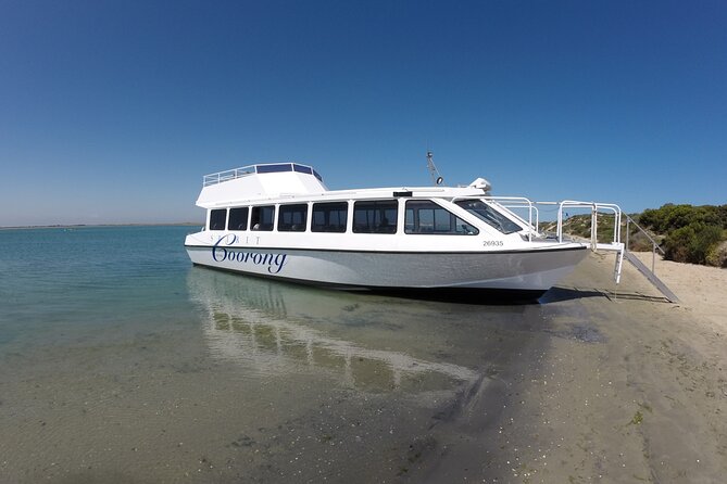 Coorong 6-Hour Adventure Cruise - Pricing and Booking
