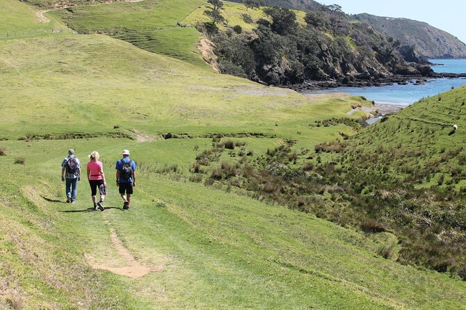 Coromandel Coastal Walkway: Full-Day Hike and Bike Tour - Copyright and Terms