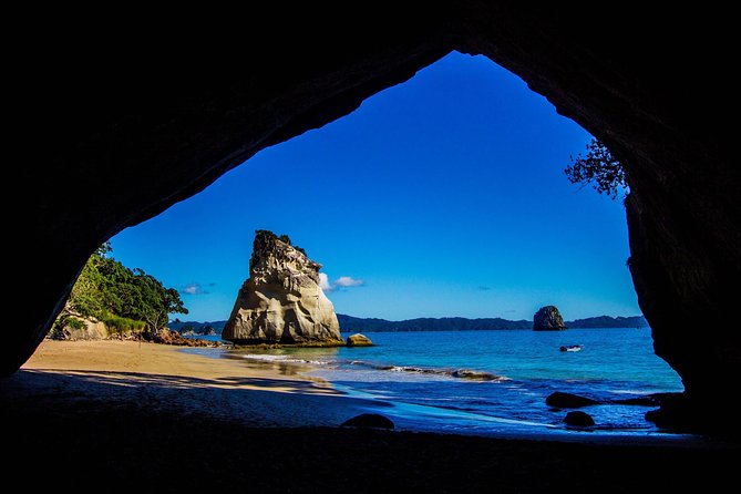 Coromandel Peninsula Discovery - Private Tour From Auckland - Fitness Requirements