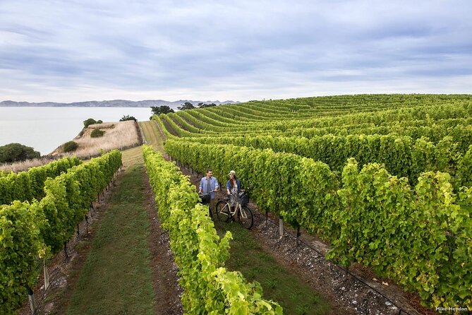 Cruise Ship Day - Marlborough - Tour Details