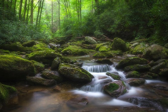 Custom Half-Day Photo Tour With Photography Lessons From Asheville - Enhancing Photography Skills