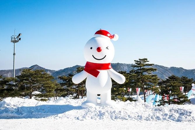 Daemyung Vivaldi Park Resort 2D 1N Hwacheon Ice-Fishing Festival - Additional Information