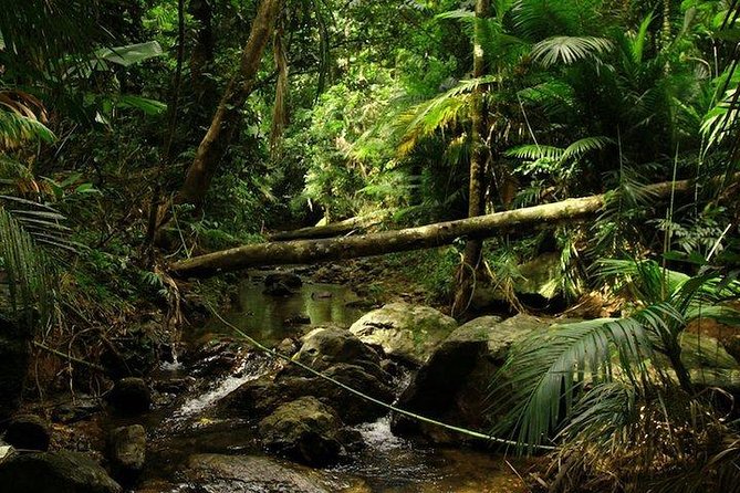 Daintree Discovery Centre Family Pass Ticket - Ticket Booking Instructions