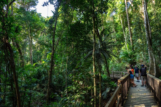 Daintree Rainforest and Mossman Gorge: Full or Half Day Tour - Tour Duration and Pricing