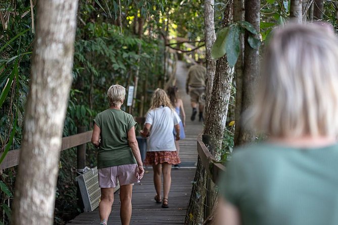 Daintree Rainforest, Cape Tribulation and Bloomfield Track Tour - Traveler Photos and Testimonials