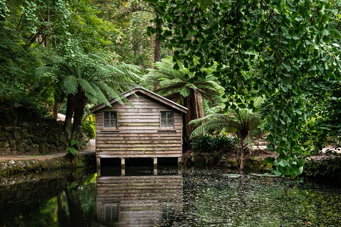 Dandenong Ranges Private Day Tour - Sum Up