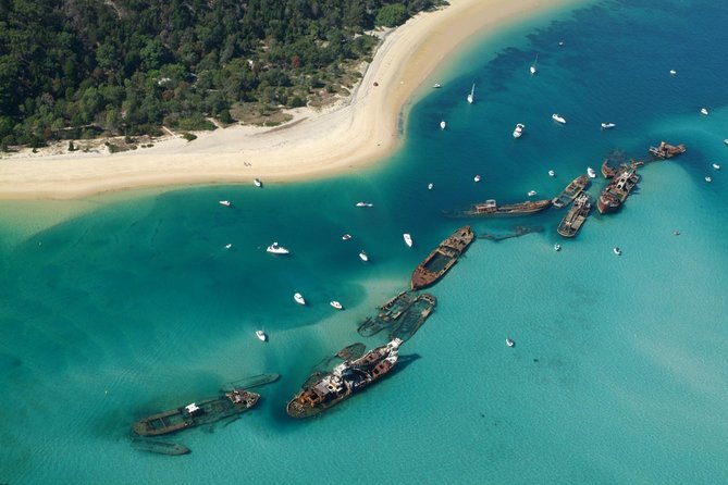 Day Cruise to Tangalooma Island Resort on Moreton Island - Helpful Recommendations and Tips