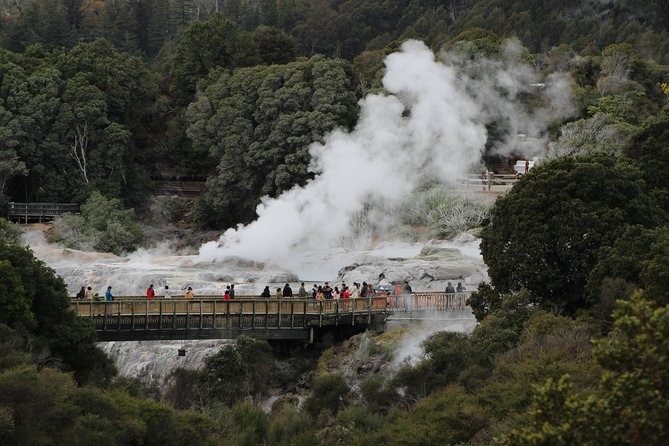 Day Tour Hobbiton Rotorua From Auckland in Luxury Minibus - Common questions