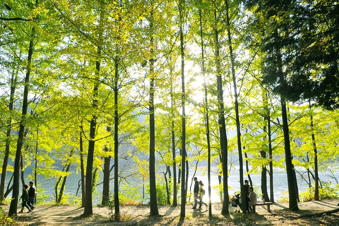 Day Trip to Nami Island With Rail Bike and the Garden of Morning Calm - Recommendations for Visiting During Specific Seasons