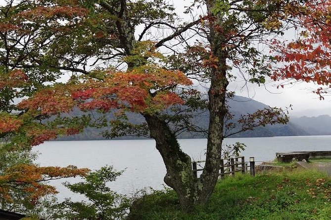 Daytrip to Nikko From Tokyo With Local Japanese Photograher Guide - Enhancing Your Travel Photography Skills