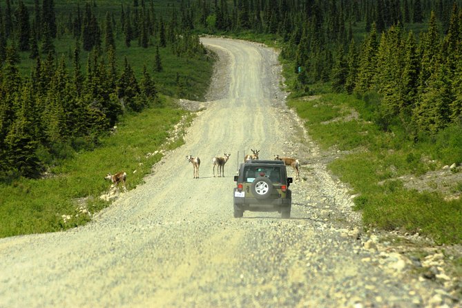 Denali Highway Jeep Excursion - Flexible Cancellation Policy and Booking Process