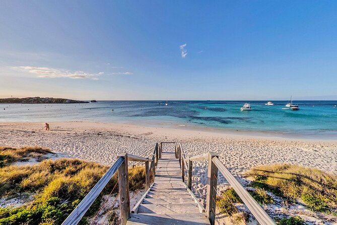 Discover Rottnest With Ferry & Bus Tour - Sum Up