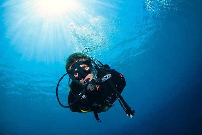 Discover Scuba Diving in Pemuteran - Diving Initiation in Bali (Menjangan Park) - Dive Site Information: Menjangan Island