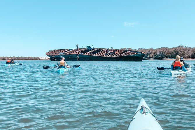 Dolphin Sanctuary Kayak Tour Adelaide - Customer Reviews