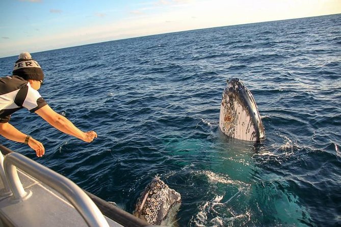 Dunsborough Whale Watching Eco Tour - Additional Information