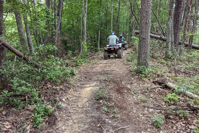 East Tennessee Off Road ATV Guided Experience - Accessibility & Health