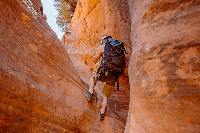 East Zion: Coral Sands Half-day Canyoneering Tour - Equipment and Gear