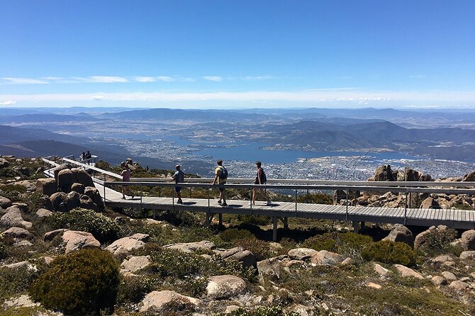 Easy Bike Tour - Mt Wellington Summit Descent & Rainforest Ride - Booking and Departure Information