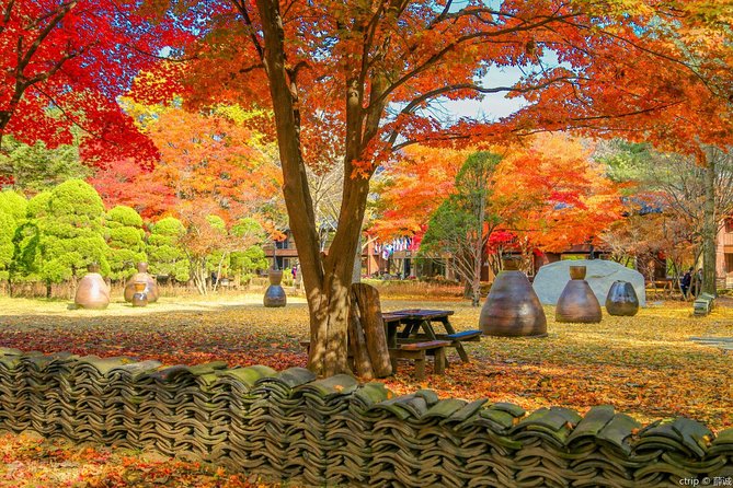 Easy Private Tour to Nami Island, Garden of Morning Calm - Additional Information
